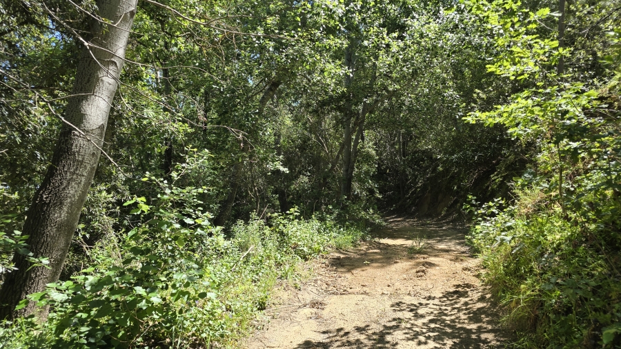 Commercial Property for Sale in Wellington Rural Western Cape